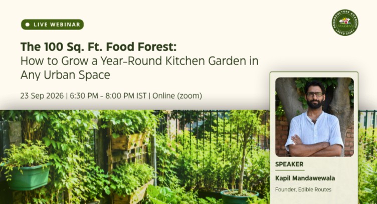 The 100 Sq. Ft. Urban Food Forest: How to Grow a Year-Round Kitchen Garden in Any Urban Space